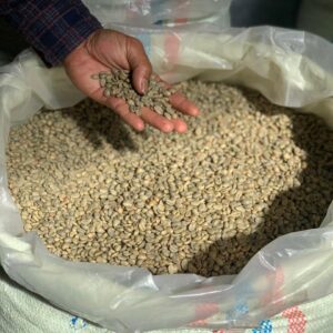 Robusta Lampung Gr. 4