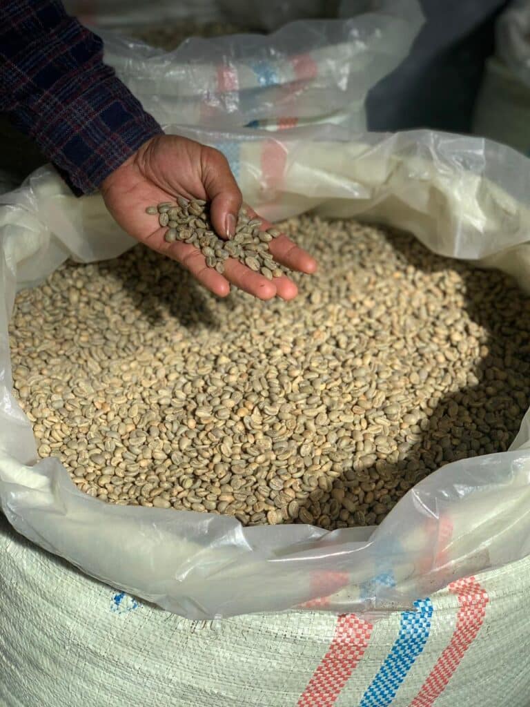 Robusta Lampung Gr. 4 Green Beans.