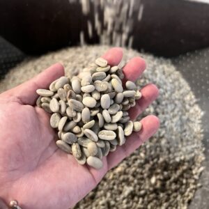 Arabica Wahana Semi Washed