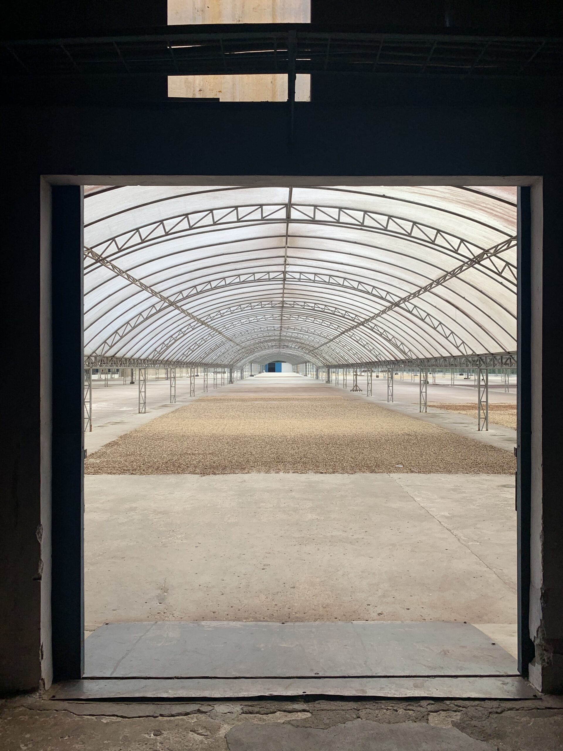 Arabica Wahana Full Washed