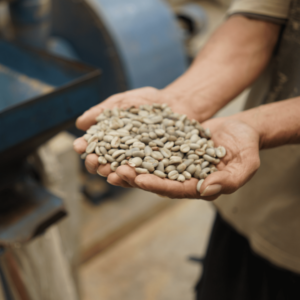 Arabica Wahana Semi Washed Green Beans